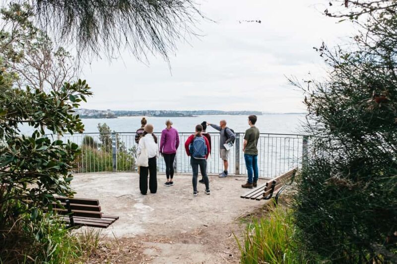 Sydney: Manly and Shelly Beach Snorkeling Tour - A Coastal Adventure with a Purpose
