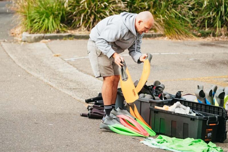 Sydney: Manly and Shelly Beach Snorkeling Tour - The Itinerary
