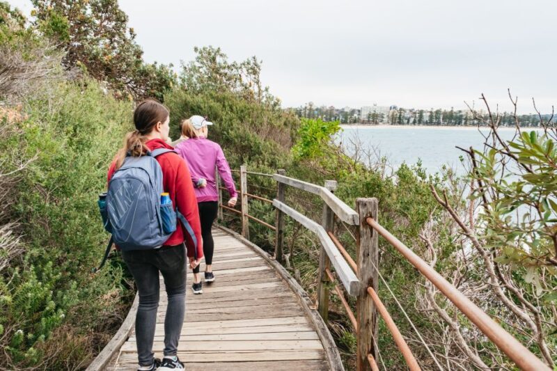 Sydney: Manly and Shelly Beach Snorkeling Tour - The Experience of the Guides