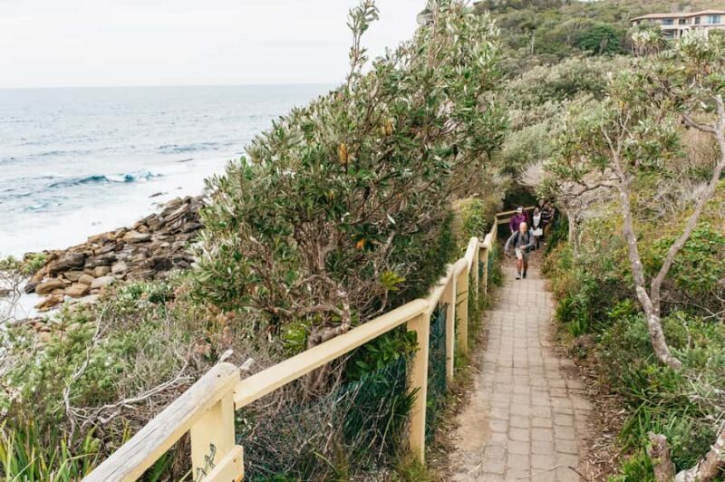 Sydney: Manly and Shelly Beach Snorkeling Tour - The Marine Environment