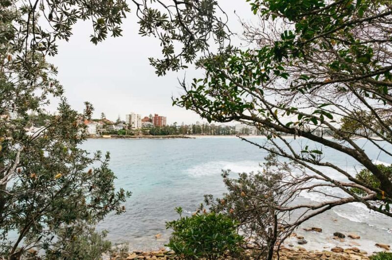 Sydney: Manly and Shelly Beach Snorkeling Tour - FAQs