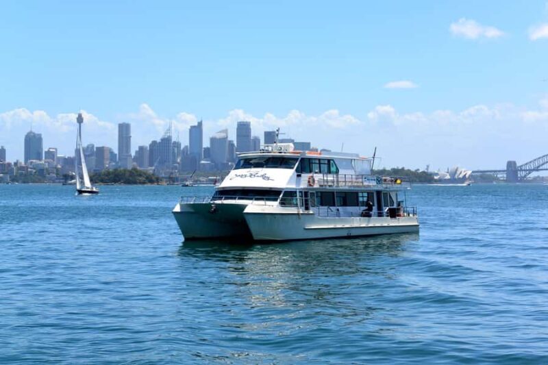 Sydney: Morning Sightseeing Bus to Bondi with Lunch Cruise - Key Points
