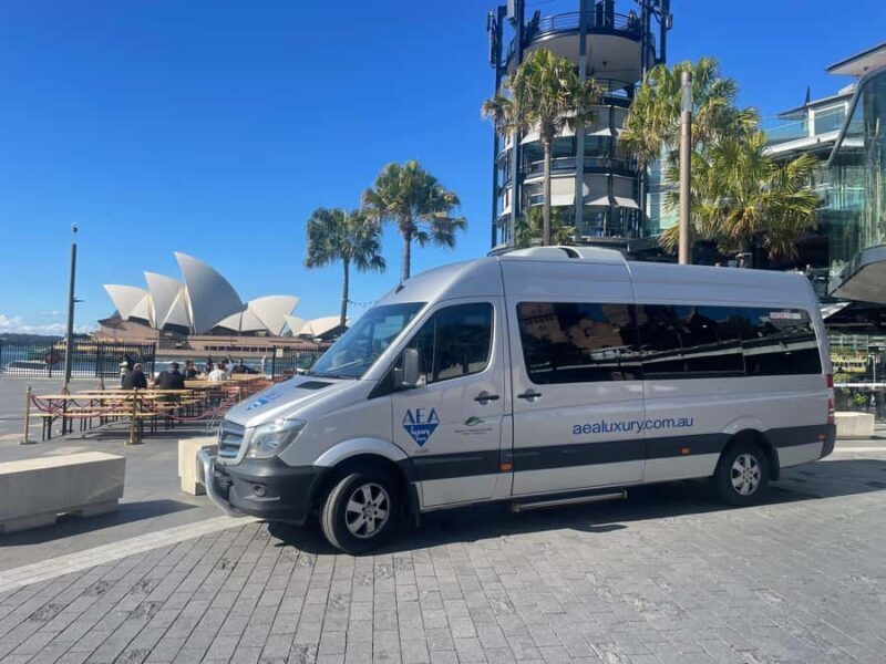 Sydney: Morning Sightseeing Bus to Bondi with Lunch Cruise - The Sum Up
