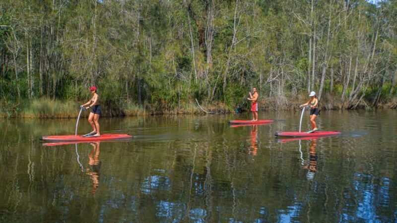 Sydney: Narrabeen Lagoon SUP Tour with Instructor - The Tour Itself: A Step-by-Step Breakdown
