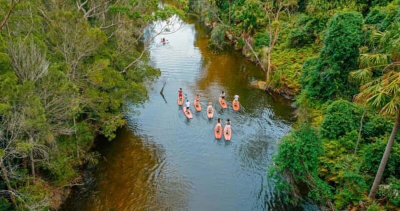 Sydney: Narrabeen Lagoon SUP Tour with Instructor - What You’ll Need to Bring & Consider