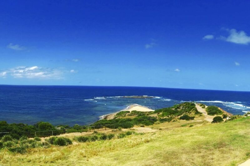 Sydney: Northern Beaches and Ku-ring-gai National Park Tour - The Verdict: Who Is This Tour For?