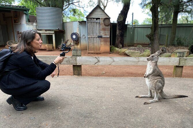 Sydney Opera House and Aussie Animals Private Tour - Key Points