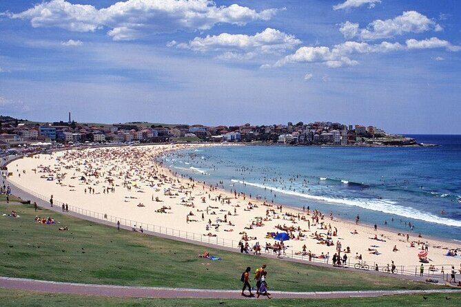 Sydney Port Private Departure Transfer: City Hotel to Cruise Port - The Sum Up