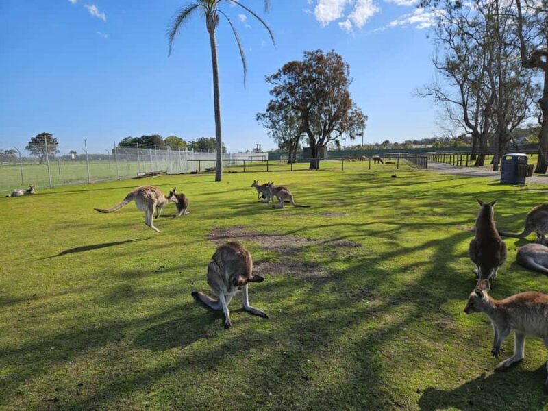 Sydney Port stephens (Private) - Final Thoughts