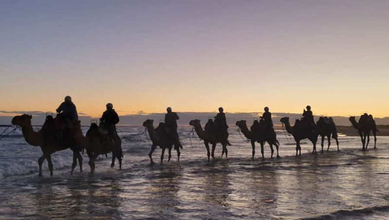 Sydney: Port Stephens Private Day Tour - An Introduction to the Tour: A Flexible Day in Port Stephens