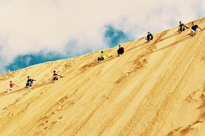 Sydney: Port Stephens Sandboarding, Dunes & Dolphin Cruise option - The Day Unpacked: From Sydney to Stunning Scenery