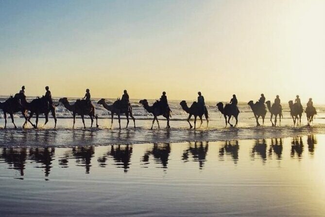 Sydney: Port Stephens Sandboarding, Dunes & Dolphin Cruise option - FAQs