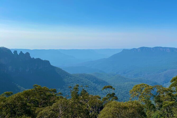 Sydney: PRIVATE Blue Mountains, Wildlife & Cruise Luxe Tour (10h) - Who Should Consider This Tour?
