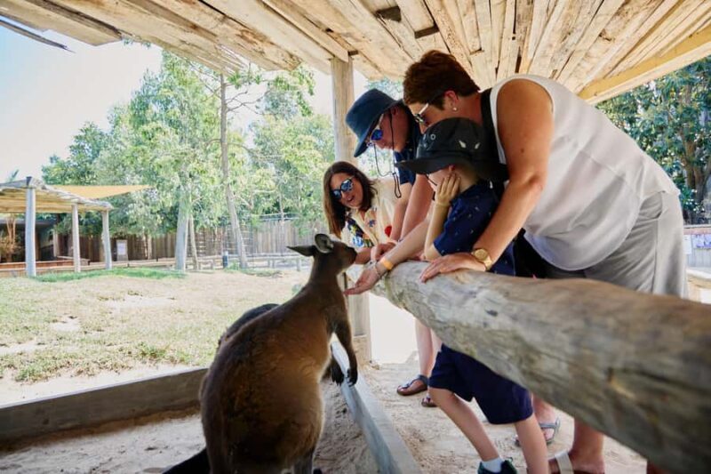 Sydney: Private Day Trip to the Blue Mountains - The Itinerary: What to Expect