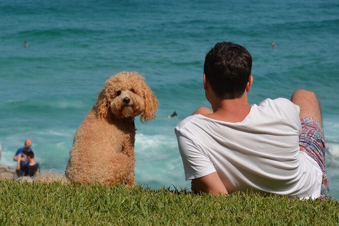 Sydney Private Experience with a Local 3-8hrs: Icons & Gems - In-Depth Look at the Itinerary