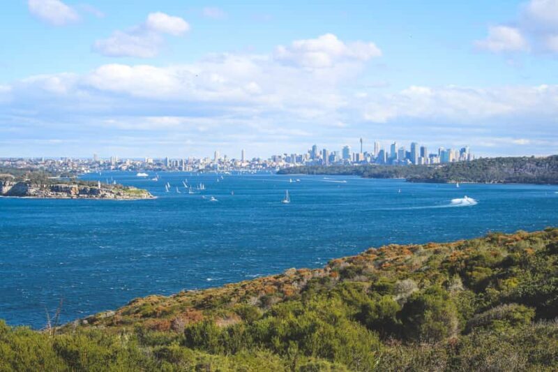 Sydney: Private Half or Full-Day Sightseeing Tour - A Personalised Approach to Sydney Sightseeing