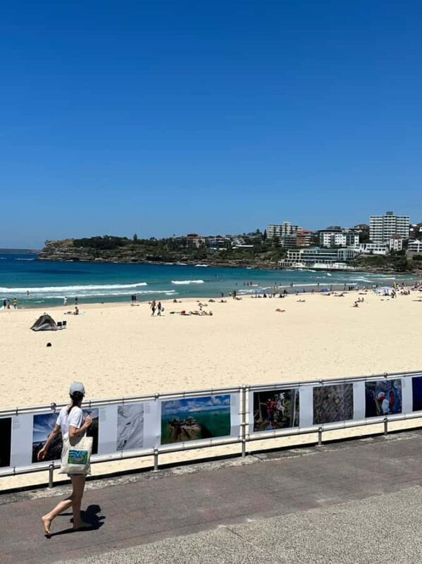 Sydney: Private Half or Full-Day Sightseeing Tour - Who Is This Tour Best For?