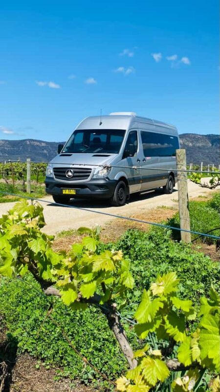 Sydney: Private Hunter Valley Premium Wine Tasting Luxe Tour - An Introduction to the Experience