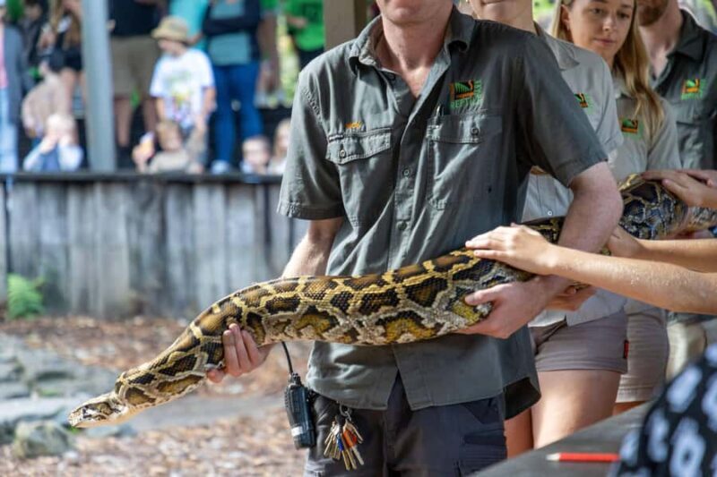 Sydney: Reptile Park and Avoca Beach Day Trip with Entry - Key Points