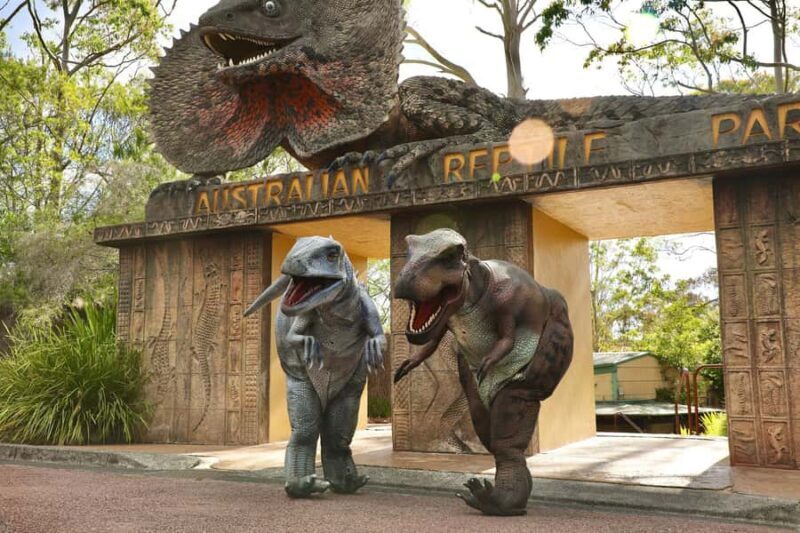 Sydney: Reptile Park and Avoca Beach Day Trip with Entry - The Itinerary Breakdown