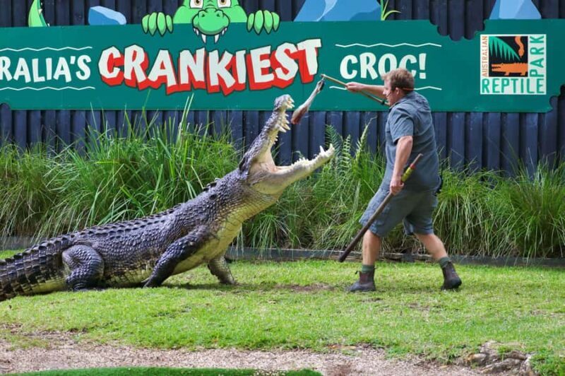 Sydney: Reptile Park and Avoca Beach Day Trip with Entry - Analyzing the Value