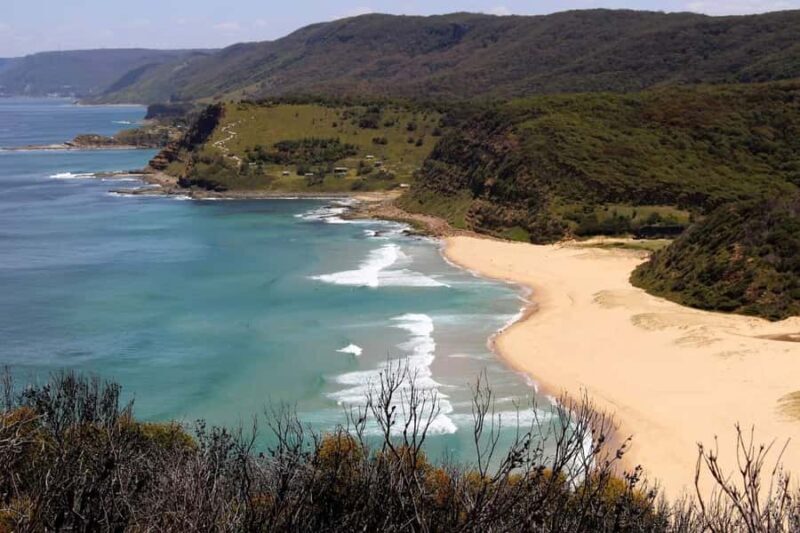 Sydney: Royal National Park private day tour - A Detailed Look at the Royal National Park Private Tour