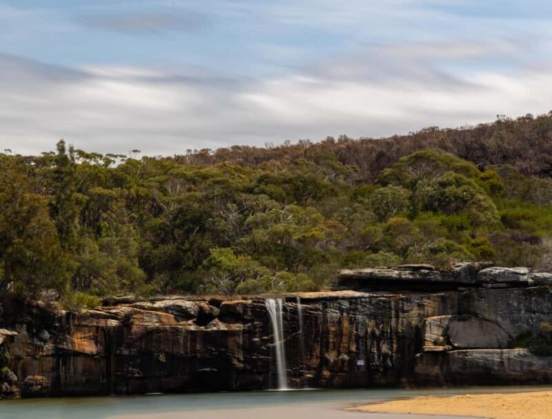 Sydney: Royal National Park tour with picnic - A Well-Organized Itinerary for a Rich Day Out