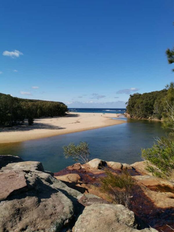 Sydney: Royal National Park tour with picnic - Who Should Consider This Tour?