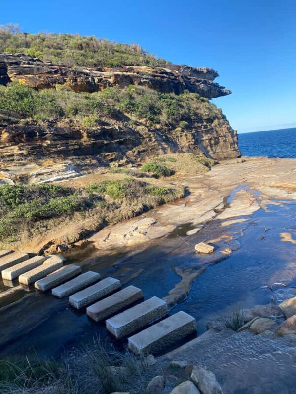 Sydney: Royal National Park tour with picnic - In The Sum Up: The Value of a Day in Royal National Park