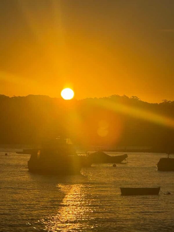 Sydney: Scenic Ferry & Sunset Experience in Watsons Bay - Practical Details & Value