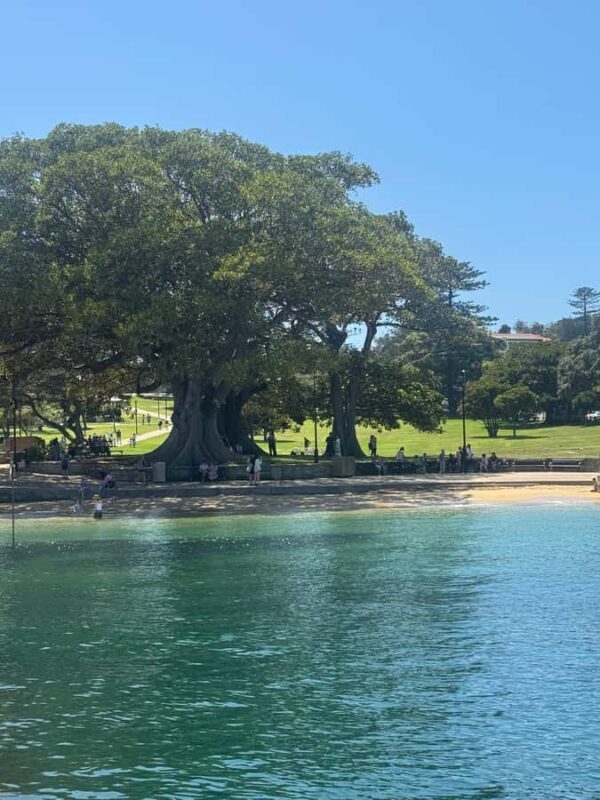 Sydney: Scenic Ferry & Sunset Experience in Watsons Bay - FAQ