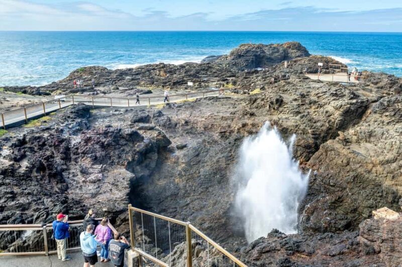 Sydney: Sea Cliff Bridge, Kiama Blowhole and Farmlands Tour - Starting Out: Comfort and Convenience
