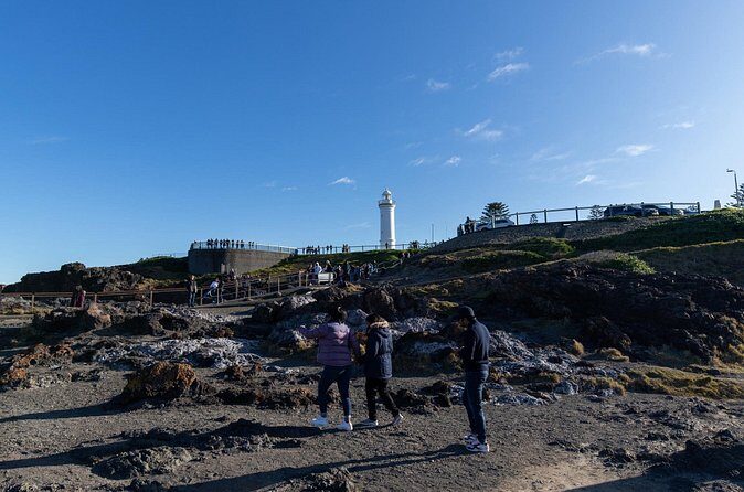 Sydney South Coast Day Tour  Kiama Blowhole & Sea Cliff Bridge - Why This Tour Is a Great Choice
