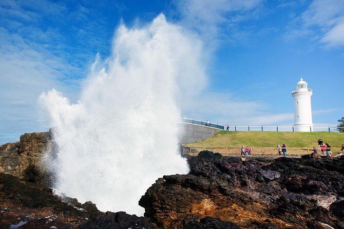 Sydney South Coast to Country Private Tour | Grand Pacific Drive - What’s Included and What’s Not