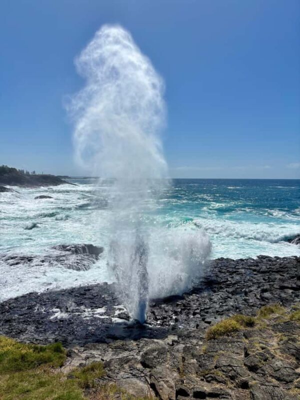 Sydney: Southern Highlands and South Coast Private Tour - Authentic Traveler Feedback