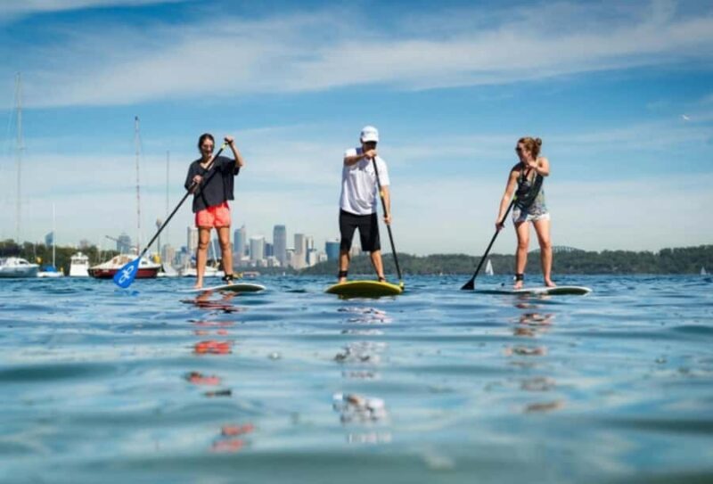 Sydney: Stand Up Paddling & Swim Experience in Watsons Bay - Introduction: What Makes This SUP Tour Stand Out?