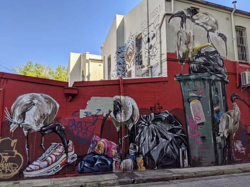 Sydney: Street Art & Small Bar Tour with Complimentary Drink - The Sum Up