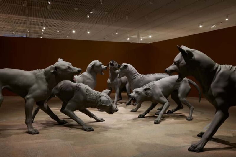 Sydney Summer Art Exhibitions Art Gallery of New South Wales - Detailed Breakdown of the Visitor Experience