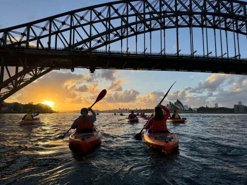 Sydney: Sunrise Kayak, Opera House & Under Harbour Bridge - Practical Details and Tips