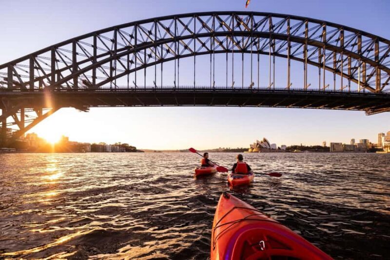 Sydney: Sunrise Kayak, Opera House & Under Harbour Bridge - Authentic Experiences and Top Highlights