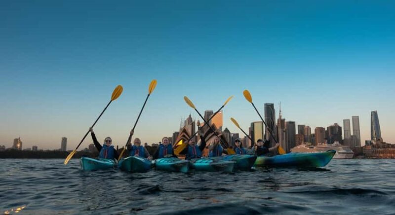 Sydney Sunrise Kayak Tour on Sydney Harbour - Final Thoughts: Is It Worth It?