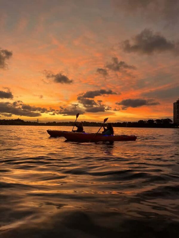 Sydney: Sunset Kayak Tour on Sydney Harbour - FAQ