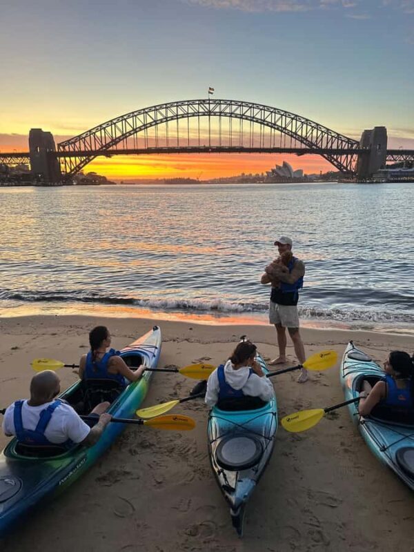 Sydney: Sunset Kayak Tour with Opera House Views - The Experience in Detail