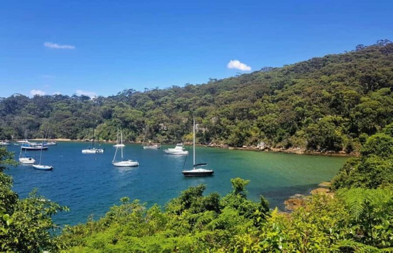 Sydney: Taronga to Balmoral Walk with picnic at Balmoral - Key Points