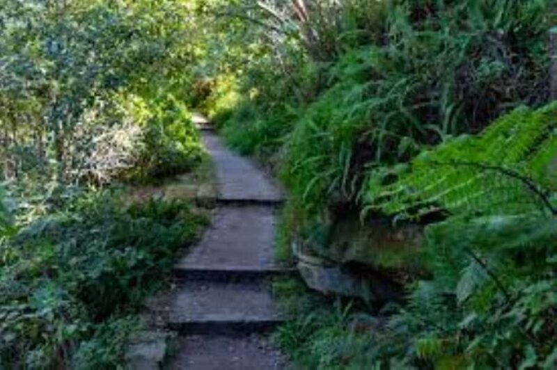 Sydney: Taronga to Balmoral Walk with picnic at Balmoral - The Practicalities