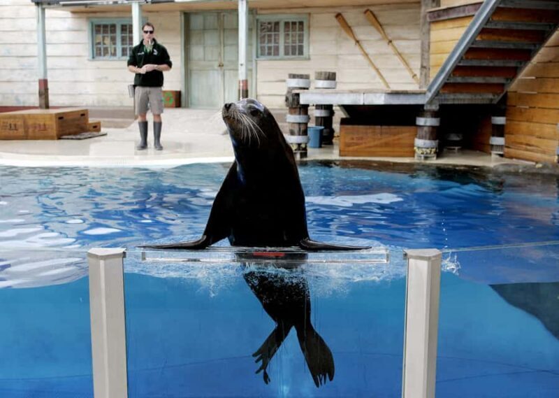 Sydney: Taronga Zoo Ticket with Return Ferry - Final Words