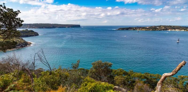 Sydney: Taronga zoo to Balmoral Walk with Ala carte Lunch - The Bottom Line: Who Will Appreciate This Tour?