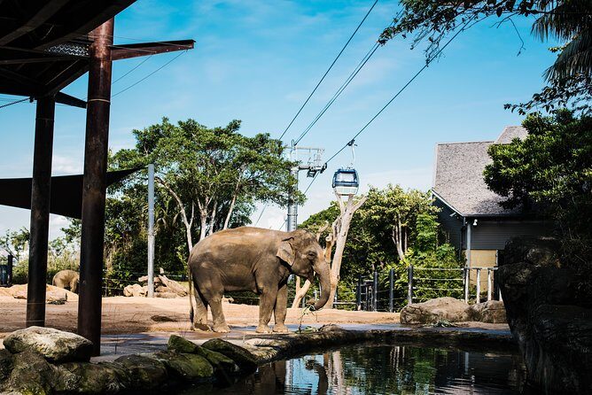 Sydney Taronga Zoo Wild Australia Experience - What to Expect from the Wild Australia Experience