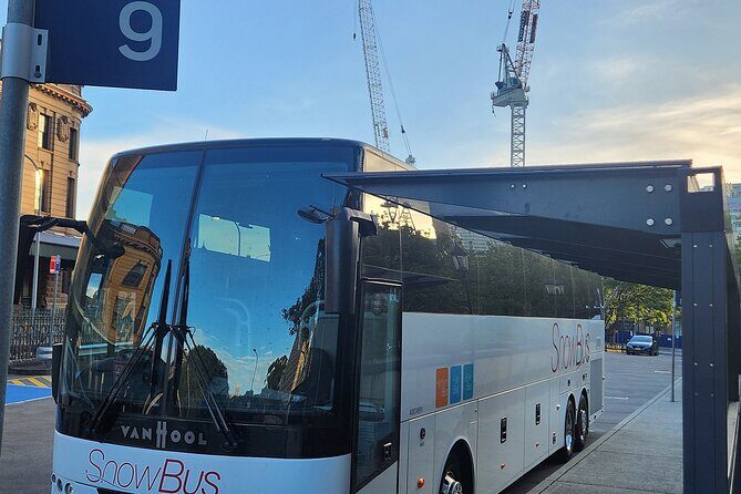 Sydney to Melbourne Express Coach Service - Overview of the Experience