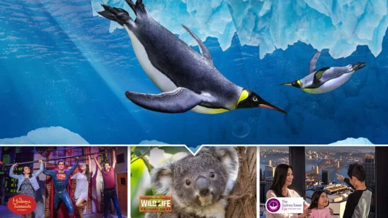 Sydney: Ultimate City Pass for 4 Attractions with Skywalk - What to Expect at Each Attraction